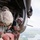 U.S. Army Rangers parachute Into Lake Lanier U.S. Army Rangers parachute Into Lake Lanier