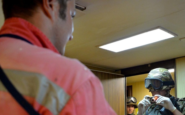 Phoenix Express 2016