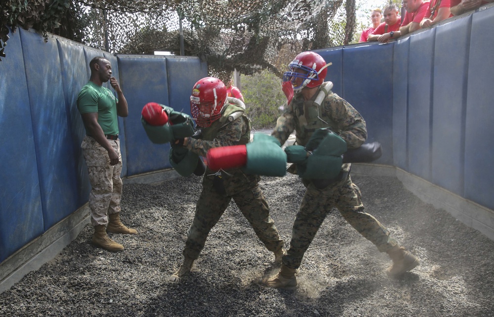 Bravo Company recruits battle each other for the third time
