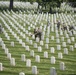 Flags-In at Arlington National Cemetery