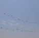 Paratroopers Fill The Skies During Airborne Review