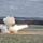 Operation Gunsmoke 2016, 65th Field Artillery Brigade, Camp Guernsey, Wyo. Operation Gunsmoke 2016, 65th Field Artillery Brigade, Camp Guernsey, Wyo.