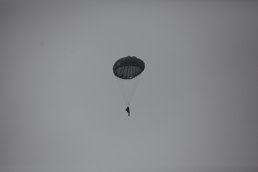 US / Deutschland Friendship Jump