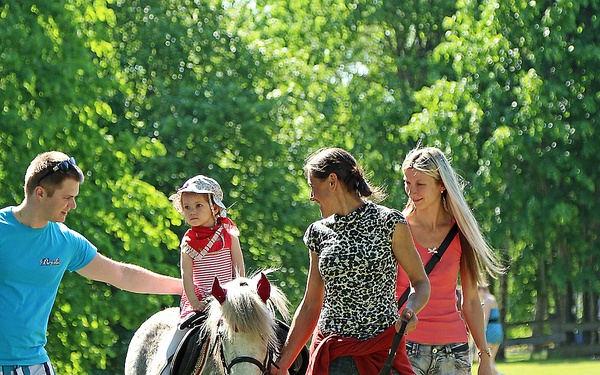 Gauja celebration features cavalry troopers, static display