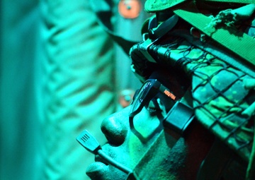 Maple Resolve is for the birds