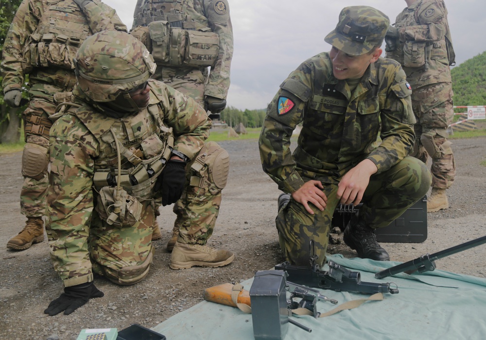 2nd Cavalry Soldiers Train and Stand with Czech Allies