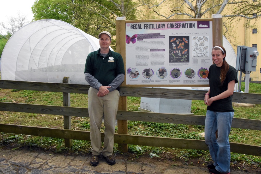 ZooAmerica, Fort Indiantown Gap Partner to Save Regal Fritillary Butterfly