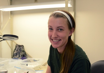 ZooAmerica, Fort Indiantown Gap Partner to Save Regal Fritillary Butterfly