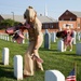 Ford Sailors plant flags for fallen service members