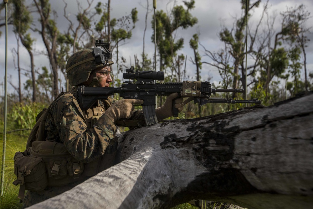 DVIDS - Images - U.S. Marines conduct platoon live fire [Image 5 of 27]