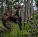 U.S. Marines conduct platoon live fire