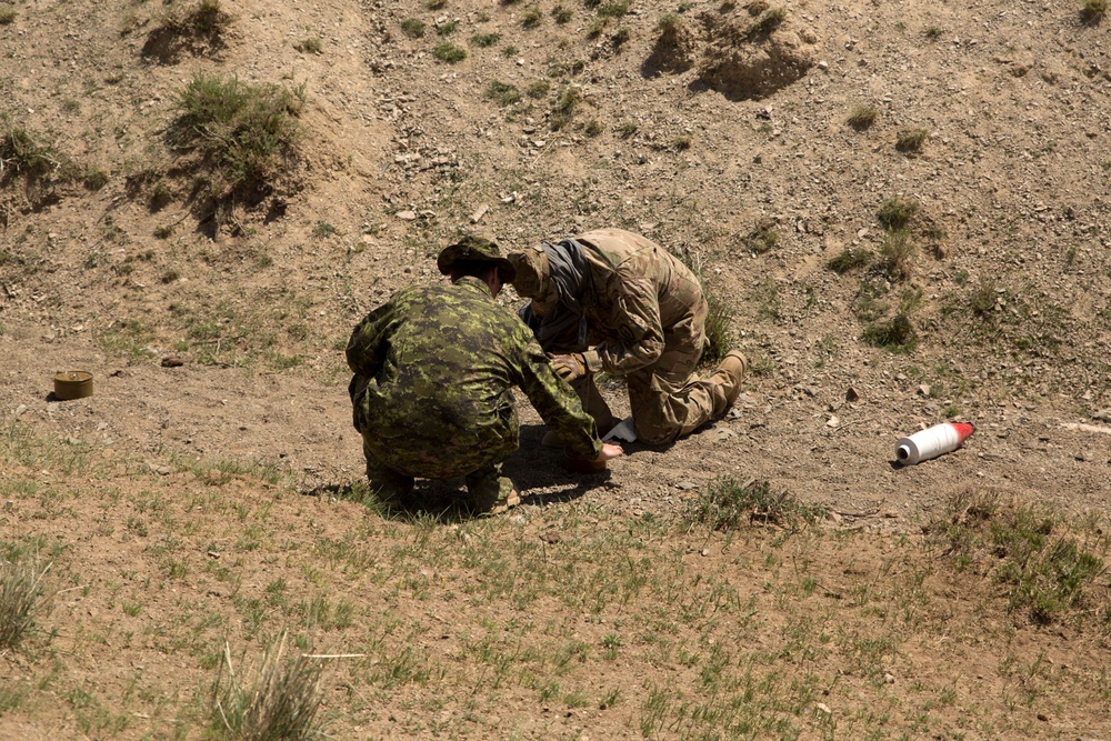 U.S. Army, Canadian Army test Mongolian Armed Forces’ counter-improvised explosive device skills during Khaan Quest 2016