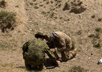 U.S. Army, Canadian Army test Mongolian Armed Forces’ counter-improvised explosive device skills during Khaan Quest 2016