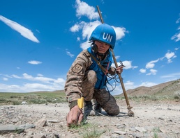 Mongolian, Royal Canadian, U.S. Armed Forces conduct IED Mine Awareness Training