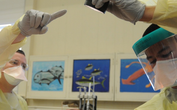 Big help on Big Island