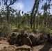 U.S. Marines defend positions