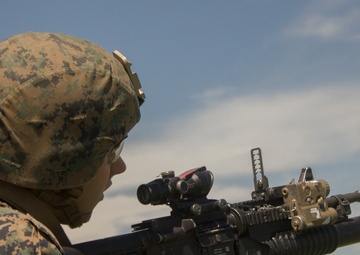 Platinum Eagle: Live Fire Range