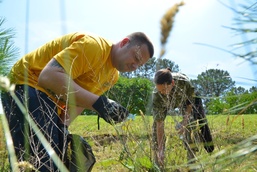 Yorktown/Cheatham Annex Clean the Bay Day