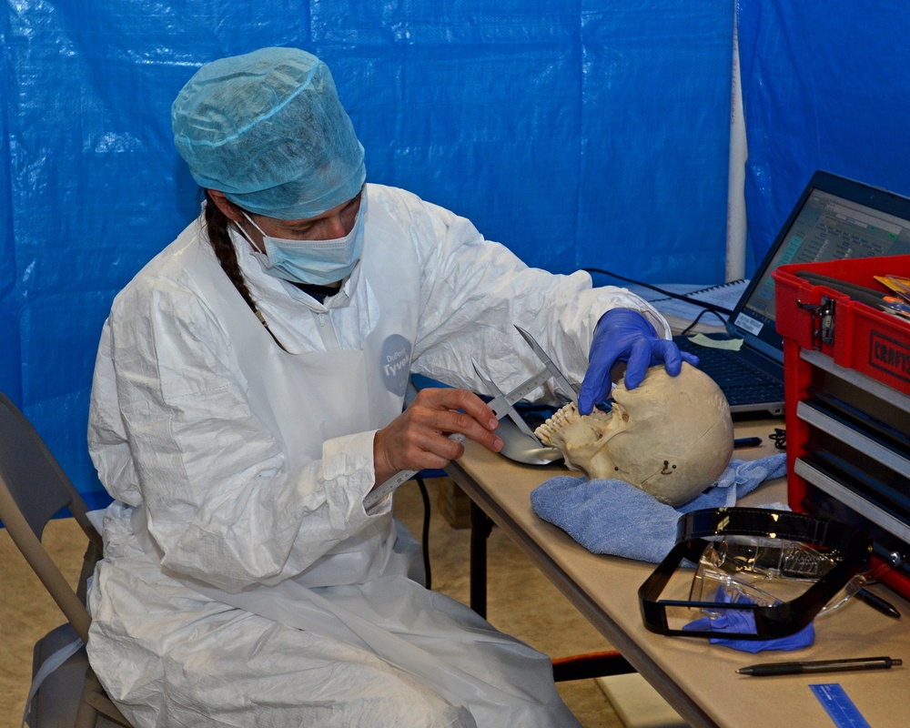 FEMORS/FANG HUREX FY16