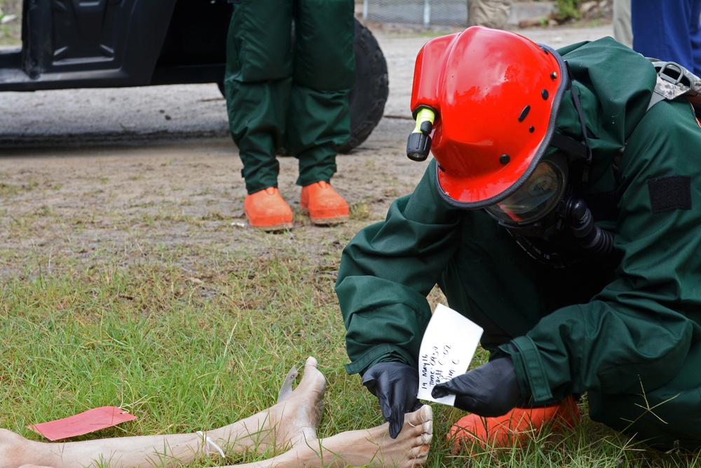 FEMORS/FANG HUREX FY16