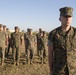 18th Sergeant Major of the Marine Corps meritoriously promotes Cpl. Ireland to the rank of Cpl