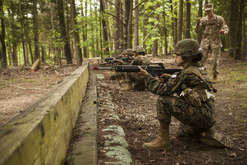 India Co. Buddy-Pair Fire and Movement Course