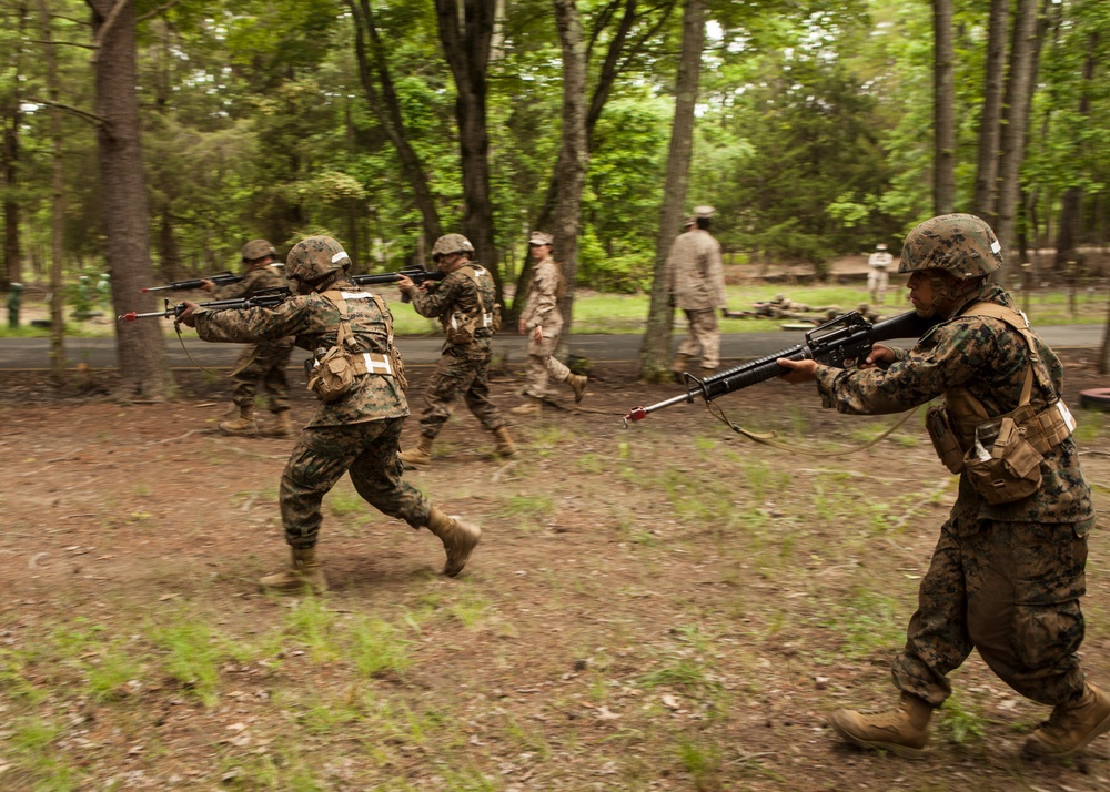 India Co. Buddy-Pair Fire and Movement Course