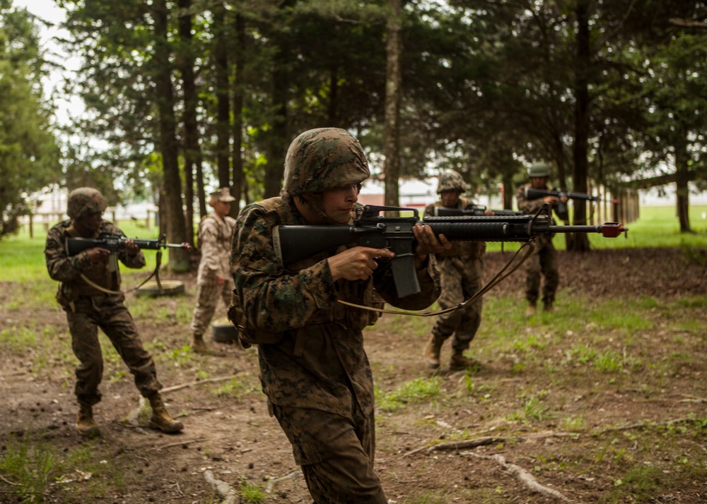 India Co. Buddy-Pair Fire and Movement Course