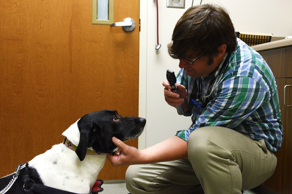 Shaw vet helps pets