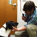 Shaw vet helps pets