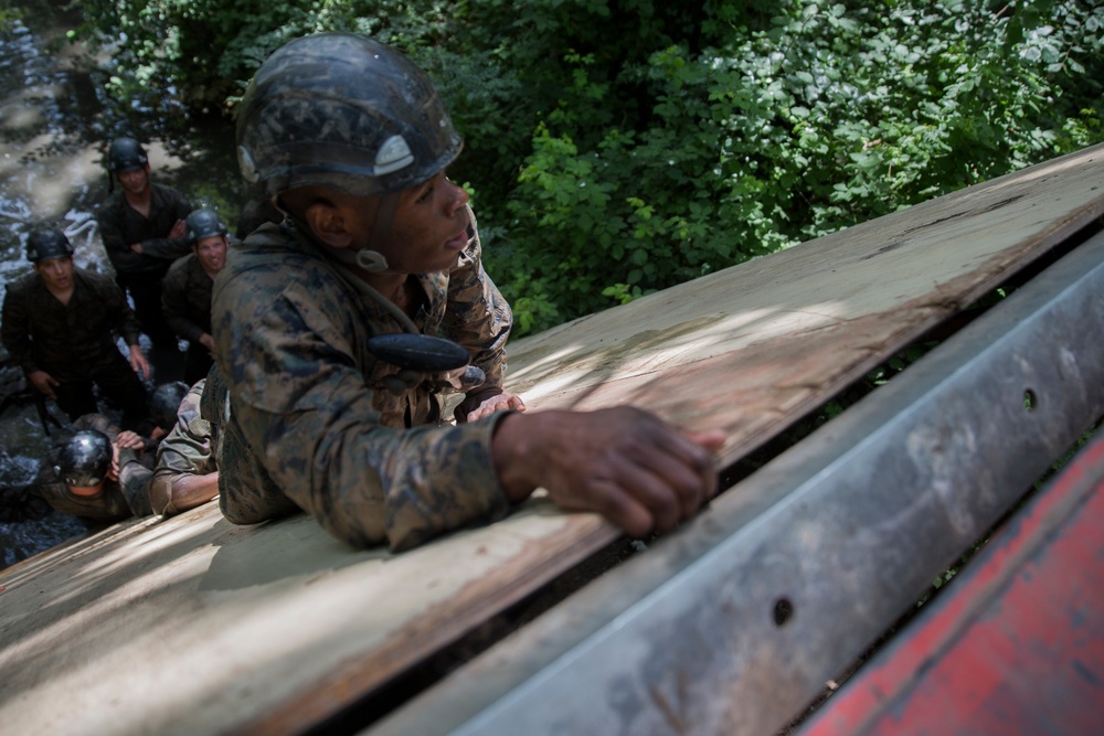 Marines conquer the mangrove