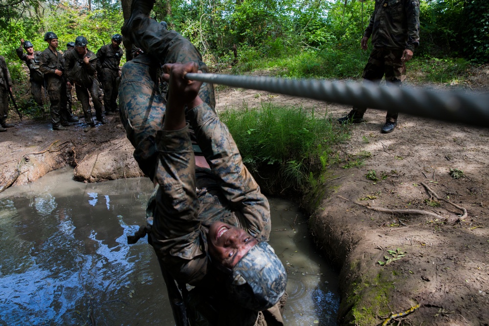Marines conquer the mangrover