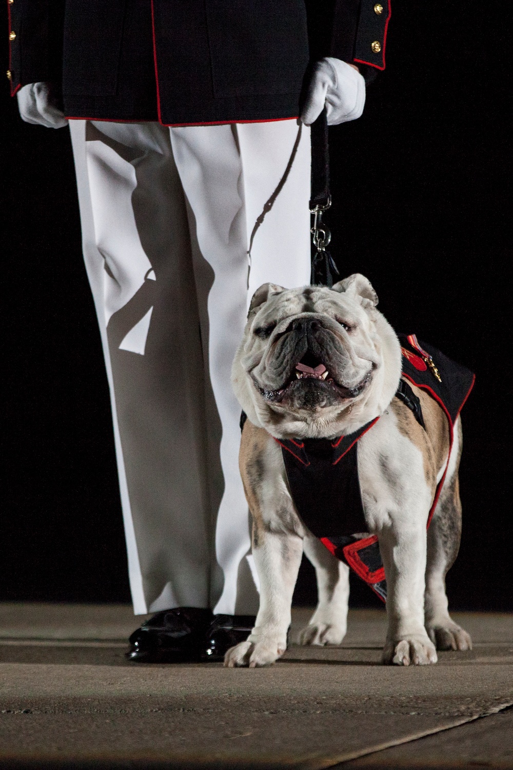 Marine Barracks Washington Evening Parade May 20, 2016