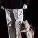 Marine Barracks Washington Evening Parade May 20, 2016