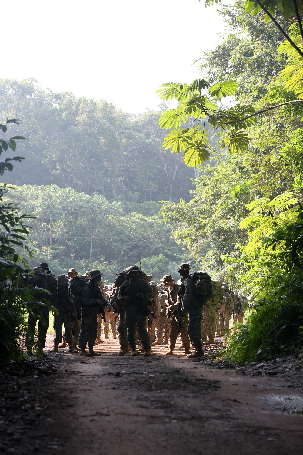 Jungle Survival School