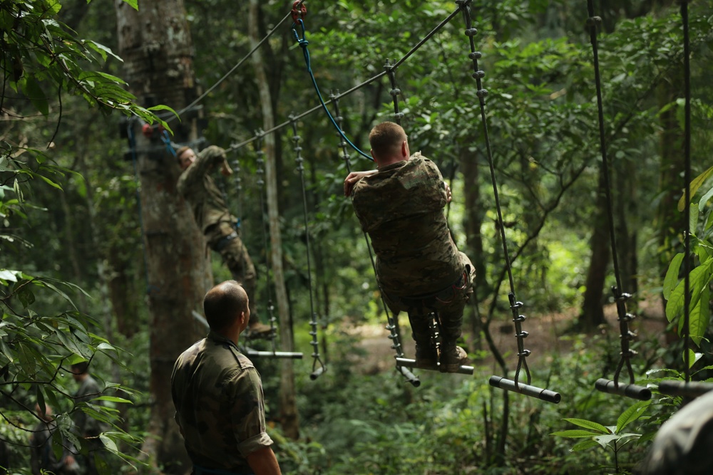 Jungle Survival School