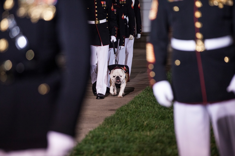 Evening Parade