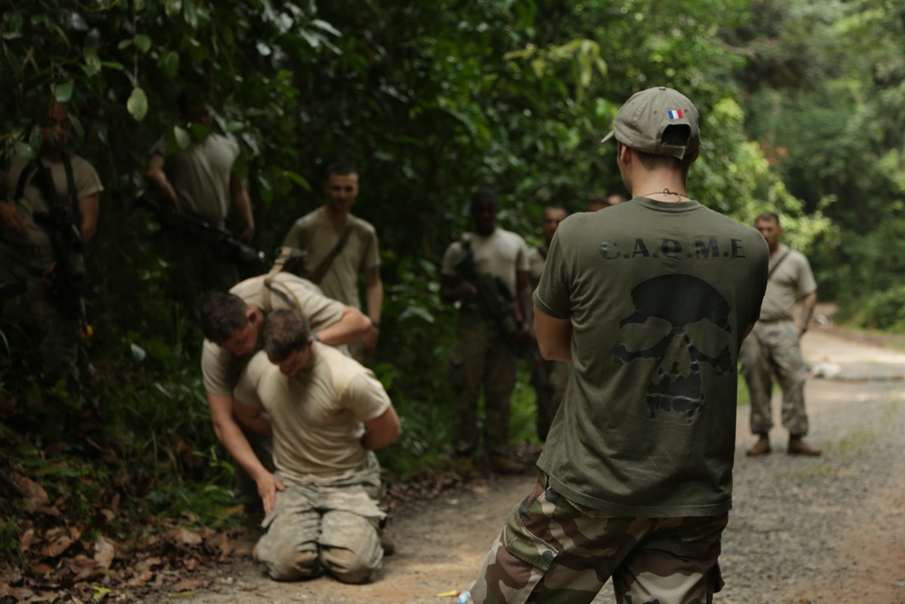 Jungle Survival School