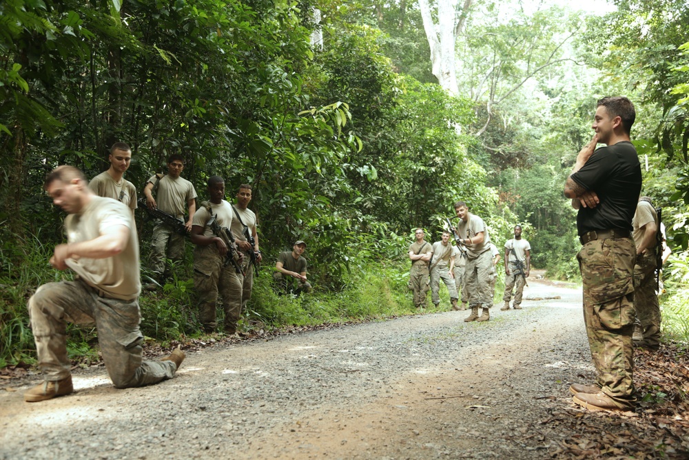 Jungle Survival School