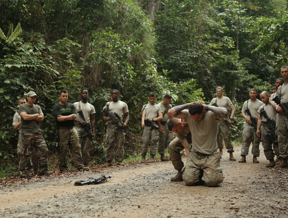 Jungle Survival School