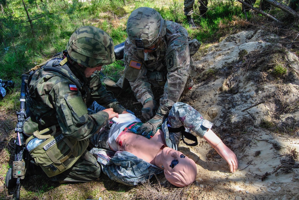 Multinational Brigade and U.S. Soldiers team up for Causality  Training Care