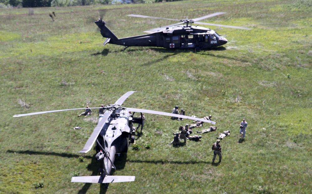 Multinational partners exercise internal abilities during Operation Icarus