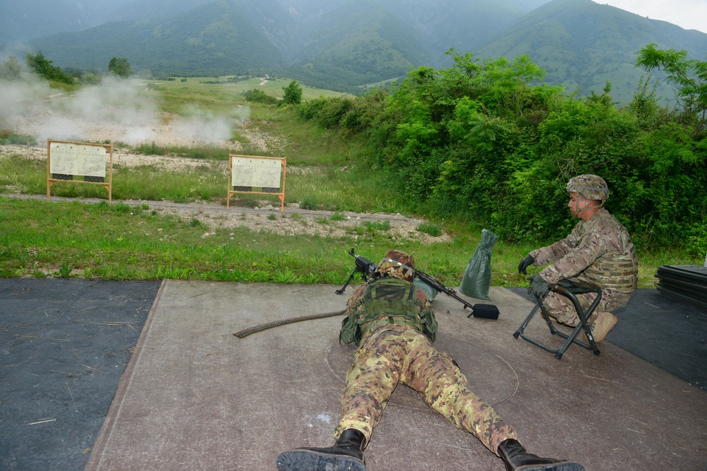 U.S. Army paratroopers assigned to 54th Brigade Engineer Battalion, 173rd Airborne Brigade and Italian army soldiers assigned to 9 Regiment Fanteria “BARI” Pinarolo Brigade, demonstrate their ability to fire an M242,M240,M4 and M 110.Cao Malnisio, Avi