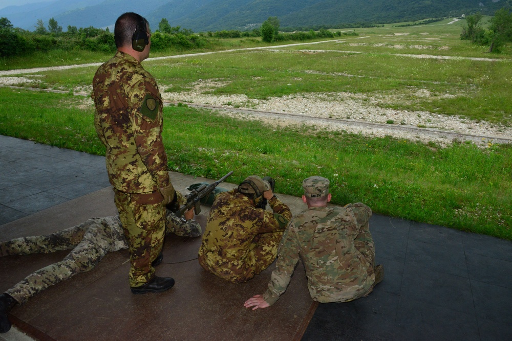 U.S. Army paratroopers assigned to 54th Brigade Engineer Battalion, 173rd Airborne Brigade and Italian army soldiers assigned to 9 Regiment Fanteria “BARI” Pinarolo Brigade, demonstrate their ability to fire an M242,M240,M4 and M 110.Cao Malnisio, Avi