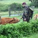 Luftlandebrigade 1 Normandy Day 1