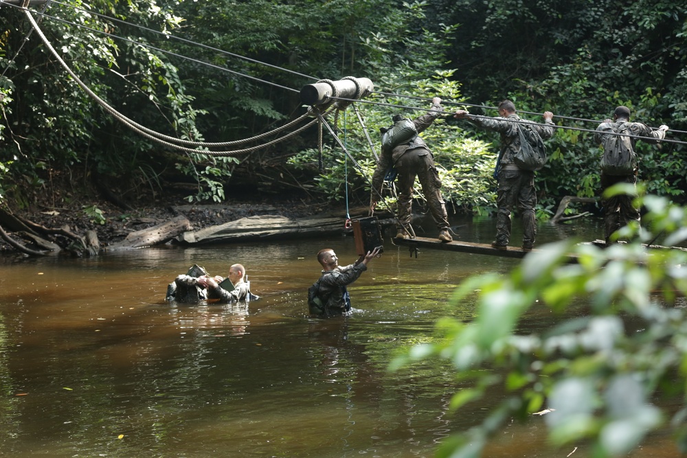 Jungle Survival School