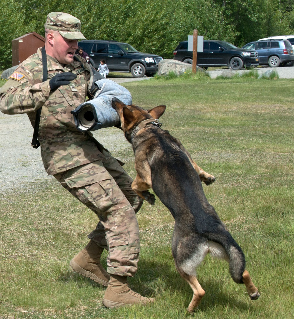 549th Military Working Dog Detachment showcases abilities