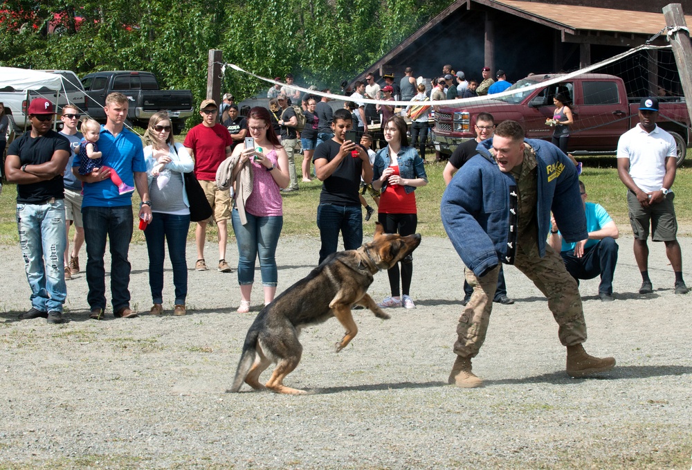 549th Military Working Dog Detachment showcases abilities