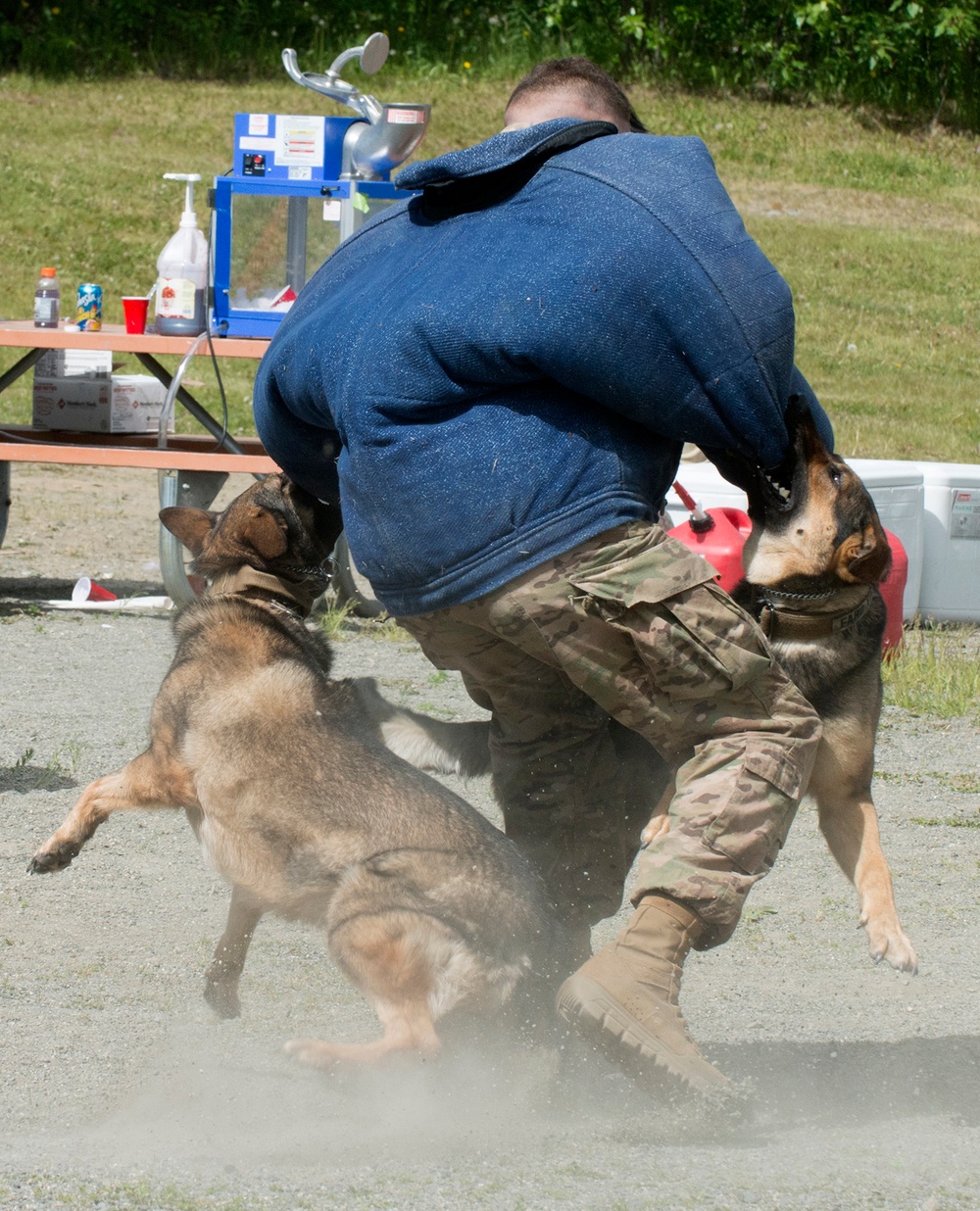 549th Military Working Dog Detachment showcases abilities