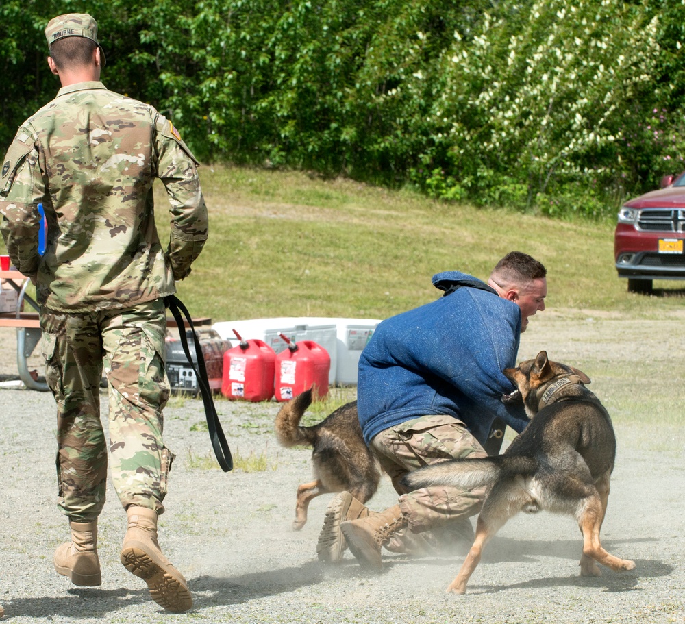 549th Military Working Dog Detachment showcases abilities